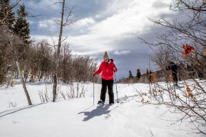 Winter Trails Series: North Fork Park