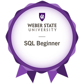 SQL Beginner