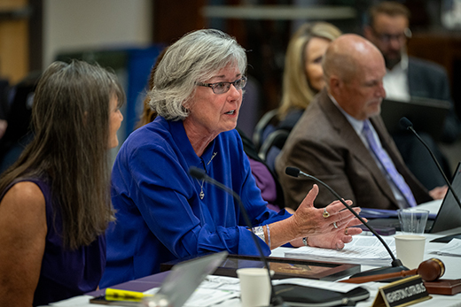 Karla Bergeson talks to colleagues at a local WSU Board of Trustees meeting.