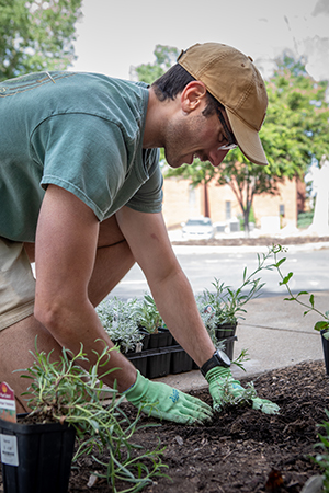 A man is planting a small plant outside on Weber State University's campus. He is wearing a tan hat, green shirt, glasses and gardening gloves.