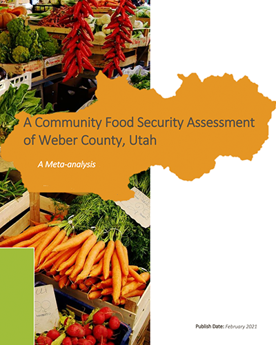 Food Security Survey of Higher Education Students in Utah (PDF)