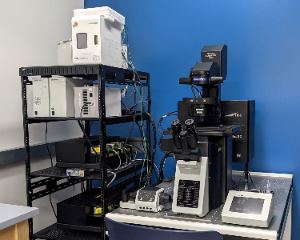 Image of Olympus Confocal Microscope Fluoview FV3000