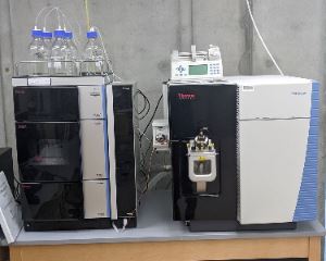 Image of Thermo UHPLC and Triple Quad