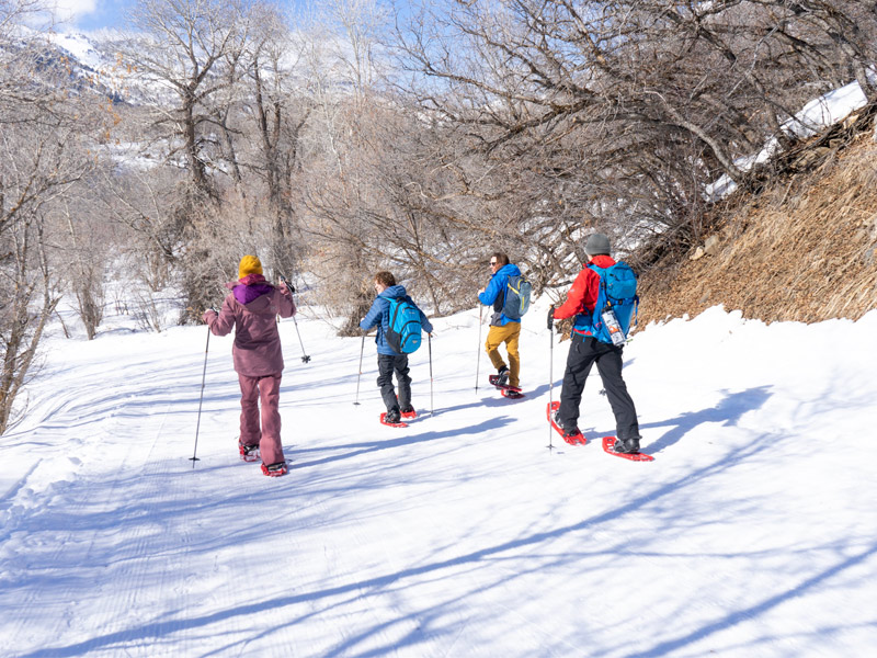 people cross-country skiing